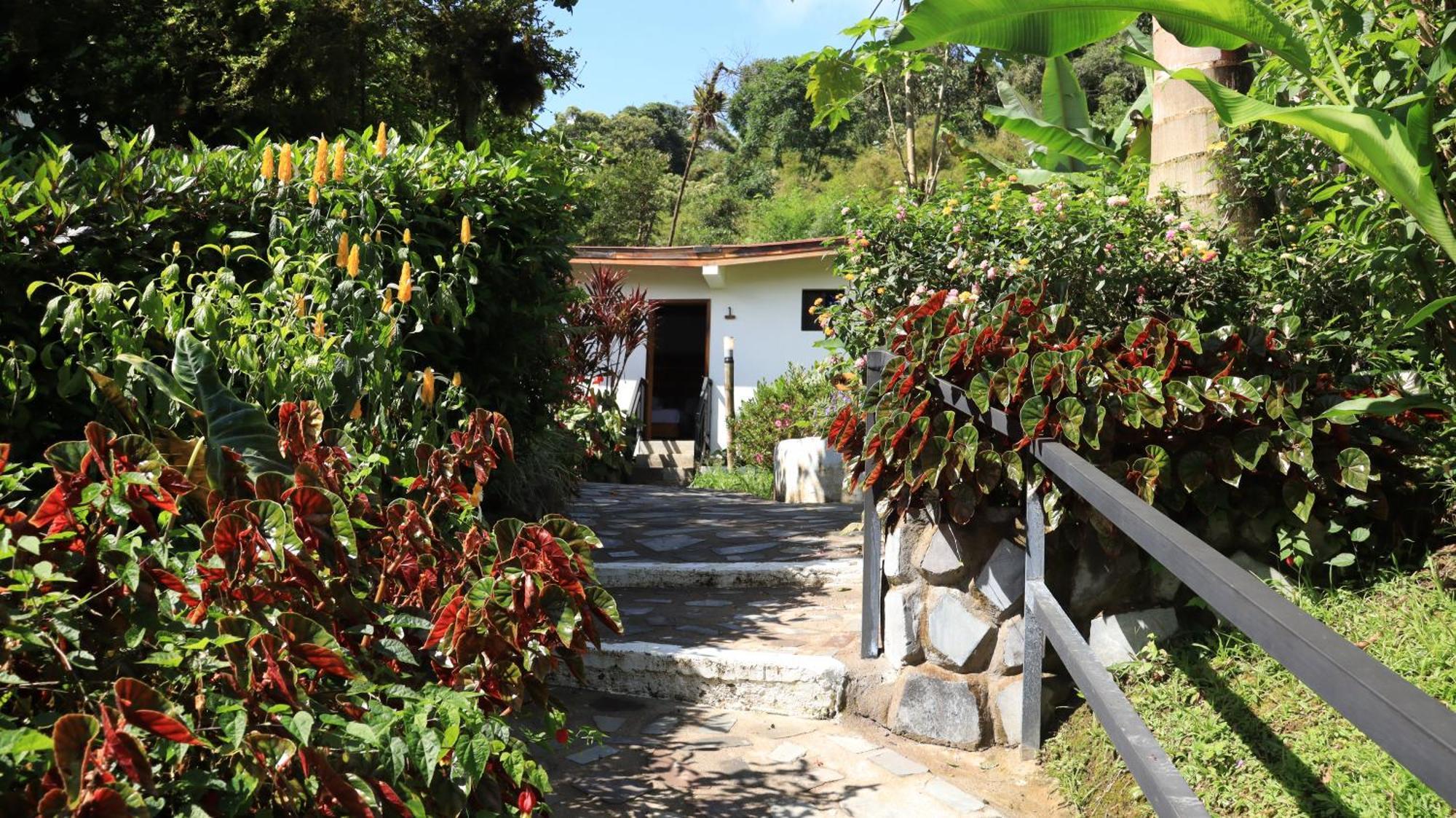 Las Terrazas De Dana Boutique Lodge & Spa Mindo Exterior foto