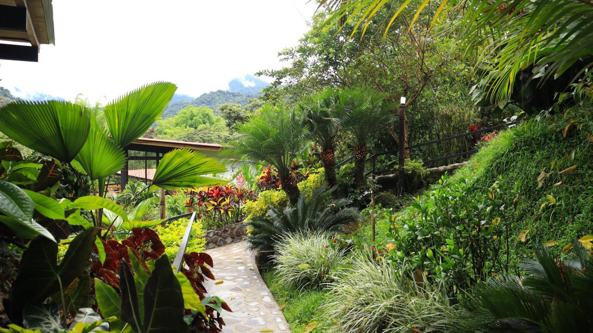 Las Terrazas De Dana Boutique Lodge & Spa Mindo Exterior foto