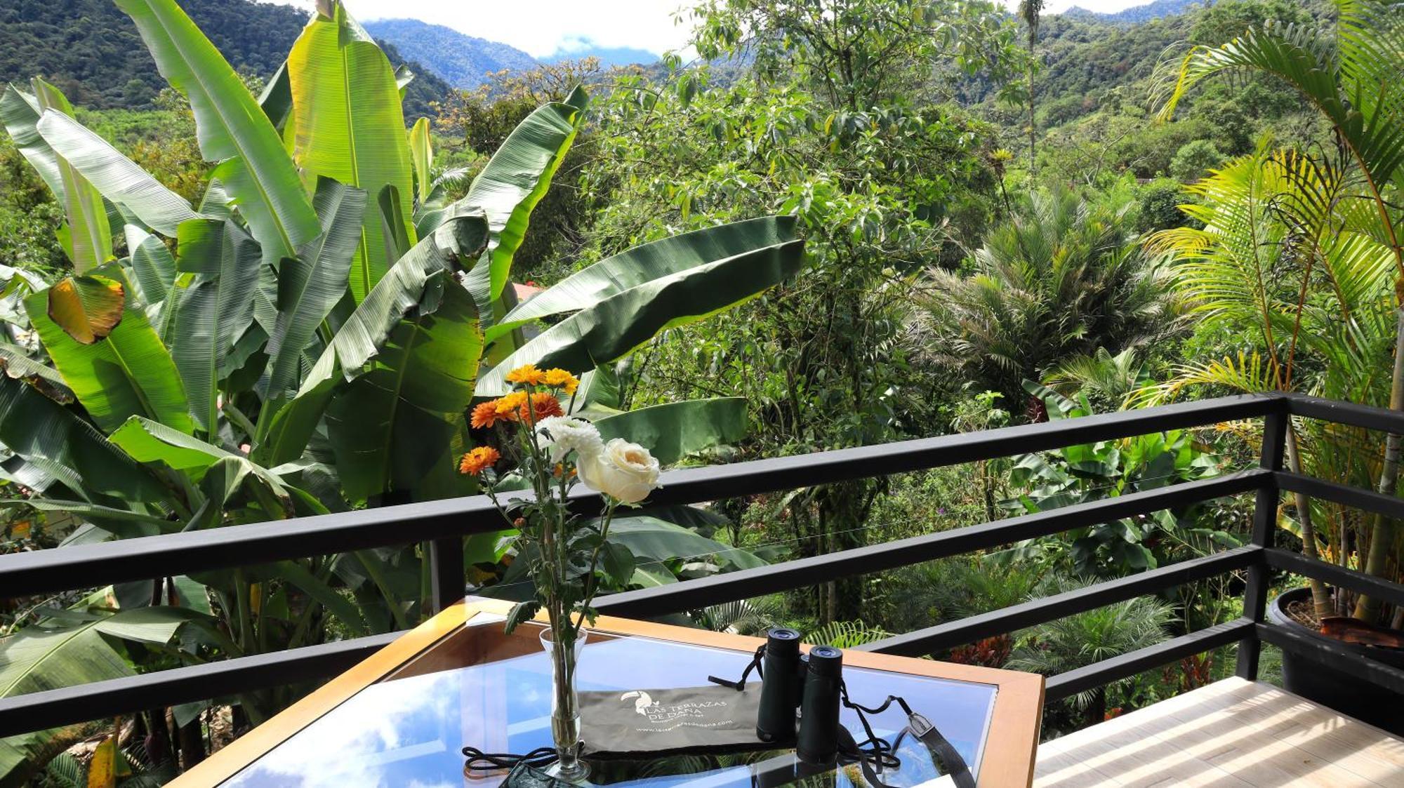 Las Terrazas De Dana Boutique Lodge & Spa Mindo Exterior foto
