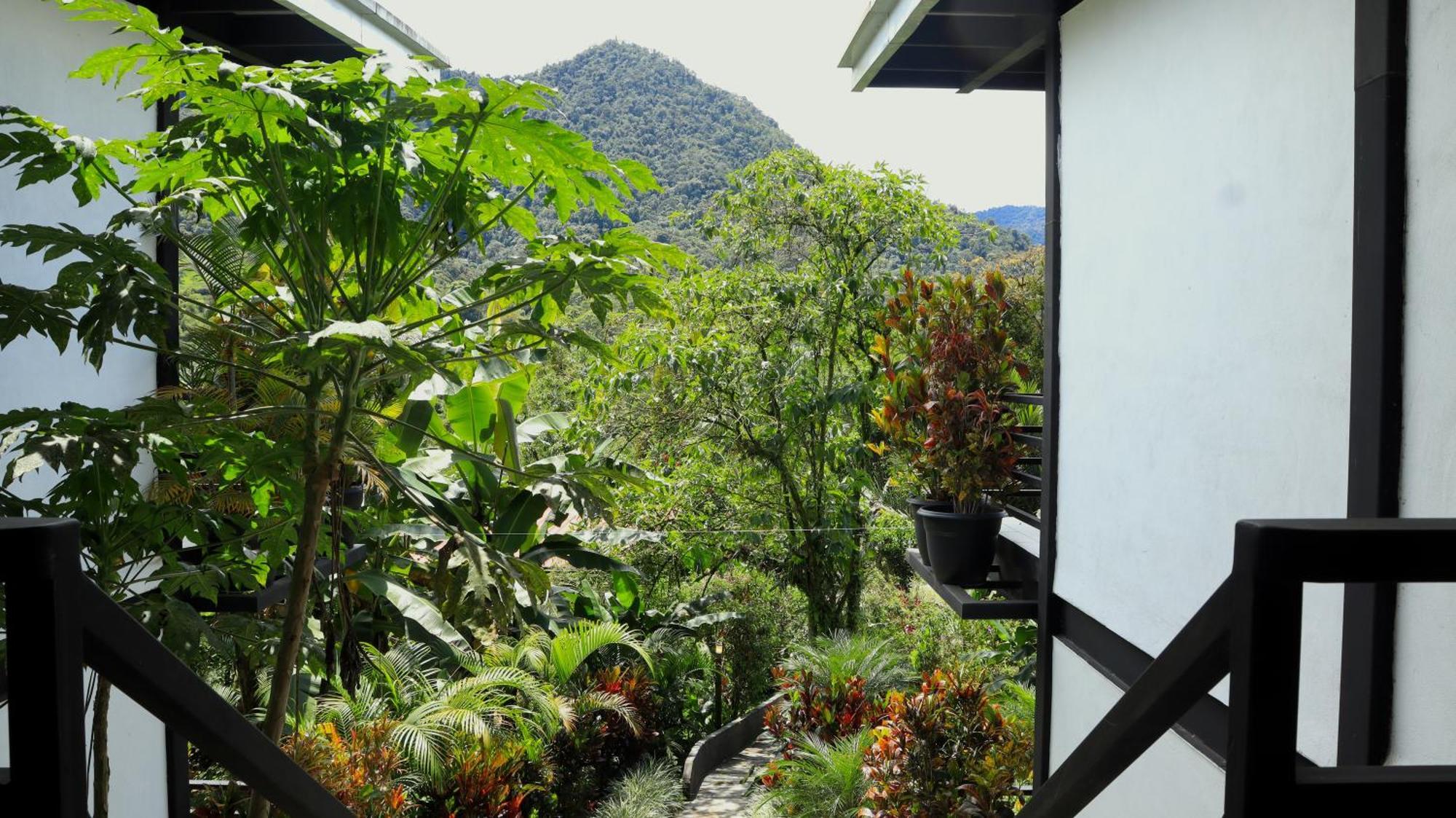 Las Terrazas De Dana Boutique Lodge & Spa Mindo Exterior foto