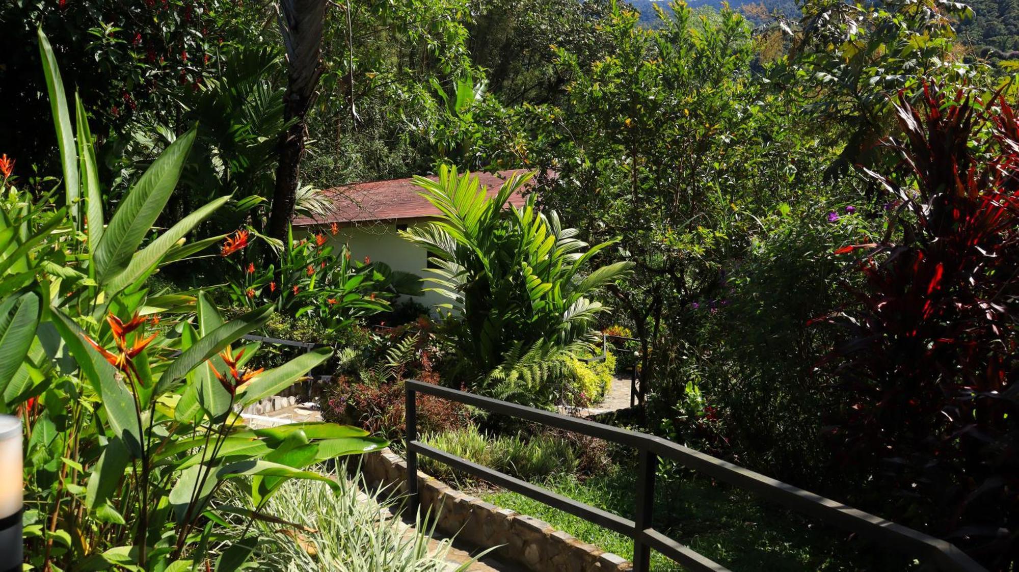 Las Terrazas De Dana Boutique Lodge & Spa Mindo Exterior foto