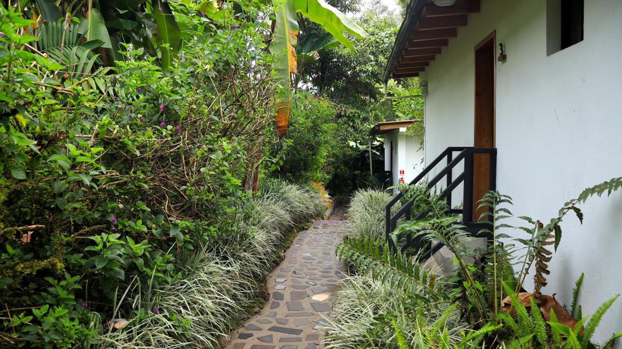 Las Terrazas De Dana Boutique Lodge & Spa Mindo Exterior foto