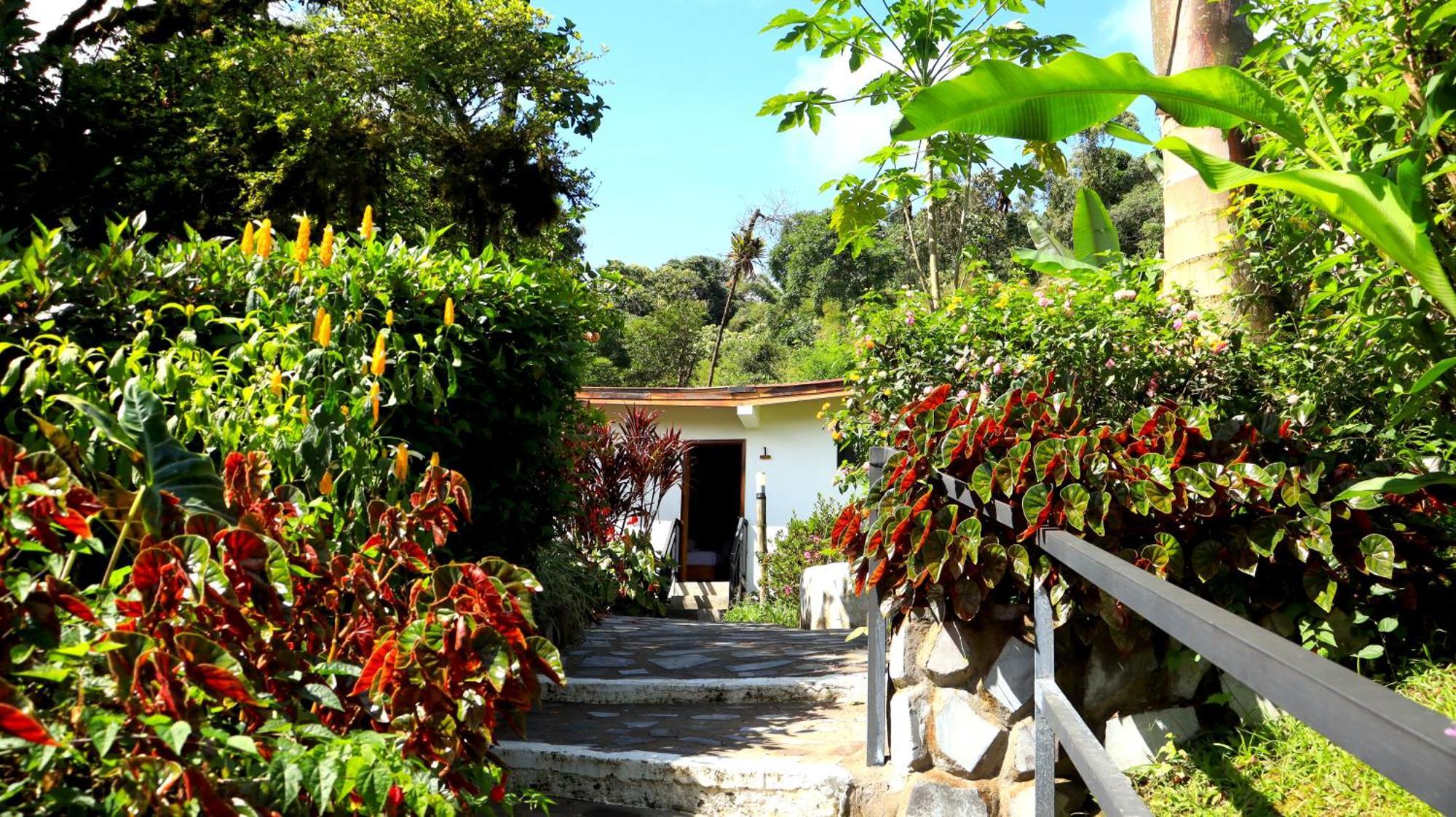 Las Terrazas De Dana Boutique Lodge & Spa Mindo Exterior foto