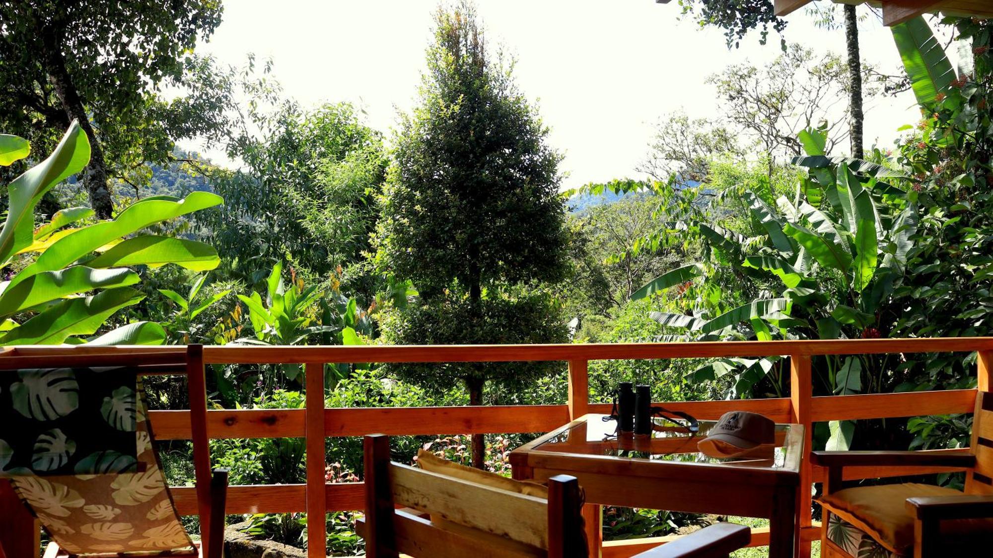 Las Terrazas De Dana Boutique Lodge & Spa Mindo Exterior foto