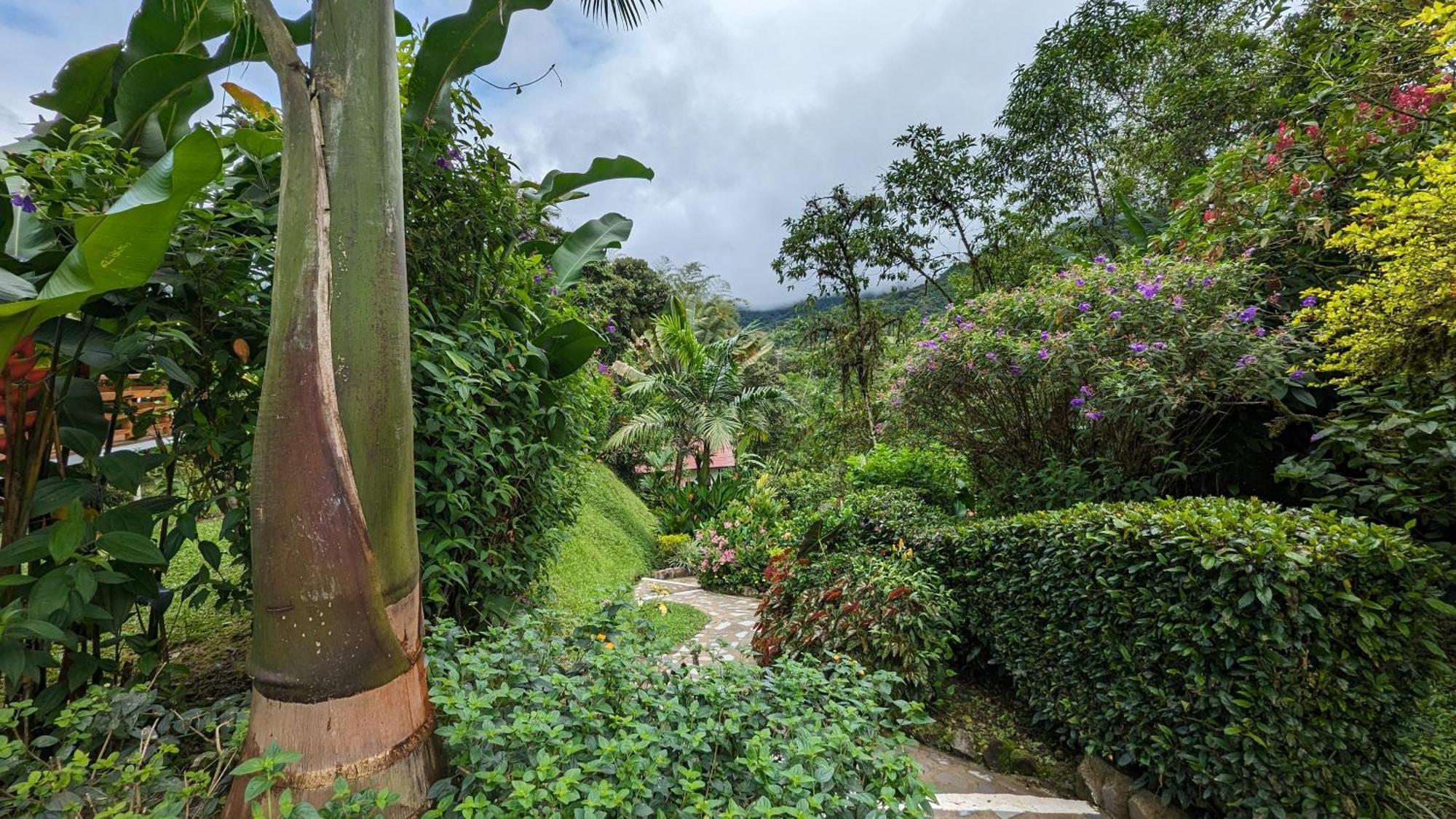 Las Terrazas De Dana Boutique Lodge & Spa Mindo Exterior foto