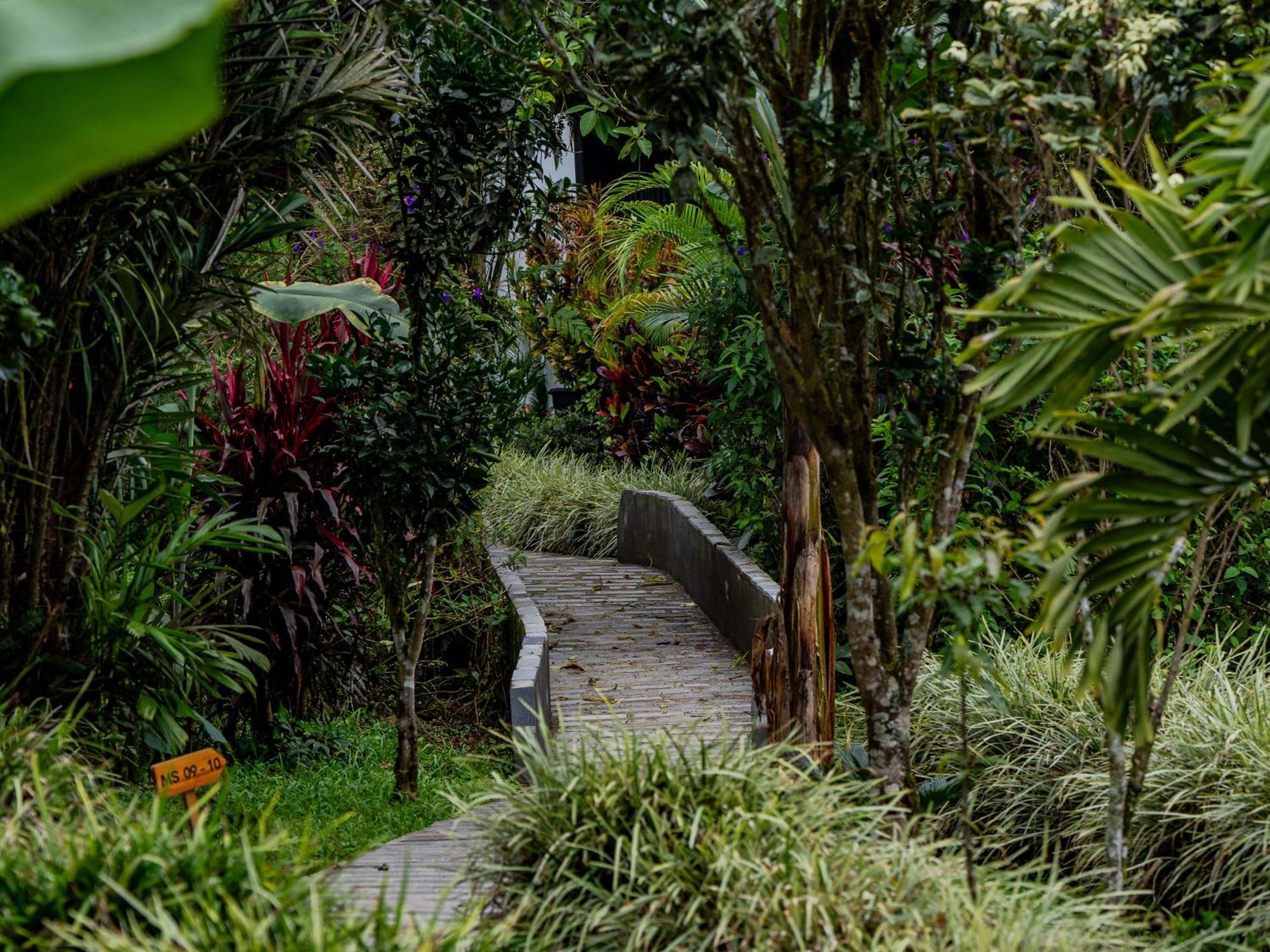 Las Terrazas De Dana Boutique Lodge & Spa Mindo Exterior foto